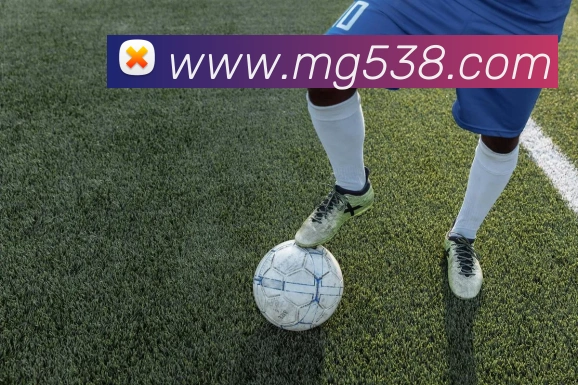 MG娱乐平台官网平台生态图